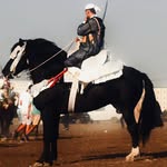 حب الخيل🐴 - @adam_taborida - Instagram