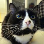 Adam Tabor - @adamtabor2018 - Instagram