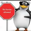 adamtabor08 - @no.furrys.allowed - TikTok