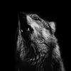 adam.tabor.2021 - @blackwolfm - TikTok