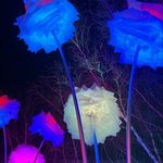 Adam Taft - @taftzilla - Instagram