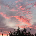 Adam Taft - @adam_e_taft - Instagram