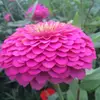 Adam Tal - @adam.yt73 - TikTok