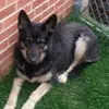 Adam Tarnowski - @adam.tarnowski8 - TikTok