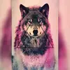 Adam Tasker - @tasker0508 - TikTok