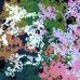 Adam Tate - Facebook