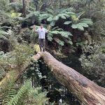 Adam Tate - @adamtate2908 - Instagram