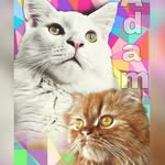 He-Man | Adam | Teela - @he_man_adam_teela - Instagram