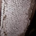 Adam Teixeira - @adam.teixeira.33 - Instagram