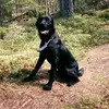 Adam Teixeira - @adamteixeira8 - TikTok