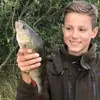 Adam Teixeira - @adamlhh - TikTok