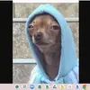 adamtello658 - @adamtello658 - TikTok