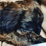 Adam Templeton - @zmzhusup7604 - Instagram