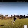 adamthealligatoroffical - @adamthealligator1 - TikTok