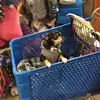 Adam Timmons - @adam.timmons16 - TikTok