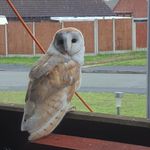 Adam Thorne - @adam.thorne.71 - Instagram
