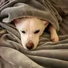 Adam ✝️ - @adam.till1 - TikTok
