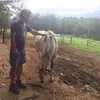 Adam Tindall - @adamtindall - TikTok
