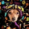 adamtindall135 - @adamtindall135 - TikTok