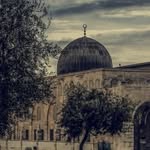 آدَم عَلِيّ تَوبة - @adam_tobe.a18 - Instagram