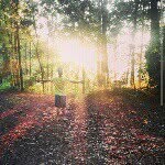 Adam Tobin - @atobinski - Instagram