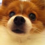 Adam Tseng - @tsengadam - Instagram