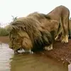 Adam Tsodintswana - @adam.tsodintswana - TikTok