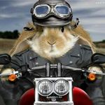 Adam Tupalski - @adam_tupalski - Instagram