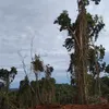 adam@ - @adamtutt1 - TikTok