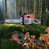 Forestwork_Adam - @forestwork_adam - TikTok