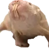 adamtyemaxwellstillc - @xxadamnt123xx - TikTok