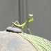 Adam VanZant - Facebook