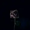 Adam Varley - @adamvarley1 - TikTok