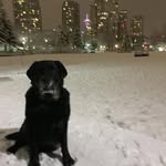 adam vary - @adam.vary - Instagram