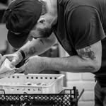 Adam Vasey - @vase_pig - Instagram