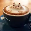 Đàm Việt Hà716 - @viethadam - TikTok
