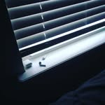 Adam vines - @vibes4687 - Instagram