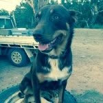 Adam Wakefield - @littlewakey101 - Instagram
