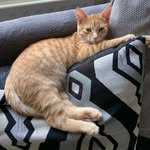 Adam Weston - @adamweston49 - Instagram