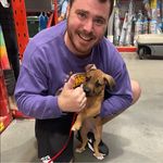 Adam Wheeldon - @adzdw1 - Instagram