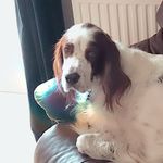 Adam Whitlock - @adam.whitlock.50115 - Instagram