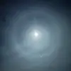 Willow adams - @willow.adams98 - TikTok