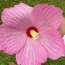 Adam Weimer - Facebook