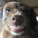 Adam Wimer - @adam.wimer.1 - Instagram
