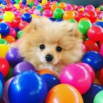 Adam Winder II - @winderii - Instagram