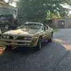 AdamWinderII - @adamw207 - TikTok
