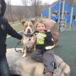 Adam windle - @windle.adam - Instagram