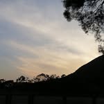 Adam wing - @adamwing9 - Instagram