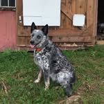 Adam Winner - @adam.winner - Instagram