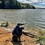 Adam Wireman - @adamwireman - Instagram